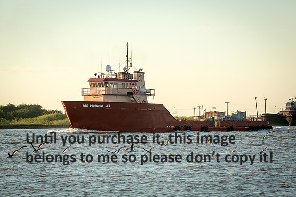 ms-norma-lee_offshore-supply-vessel_cameron_louisiana_kelly-morvant-photography_10-23-14-8448