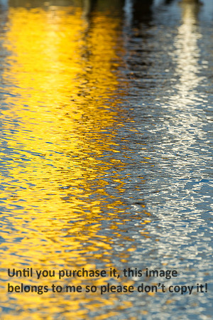 Water Reflections_Cameron LA-9707