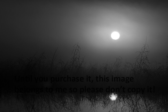 SunriseLaFarm-Winter- KaplanBW-2631