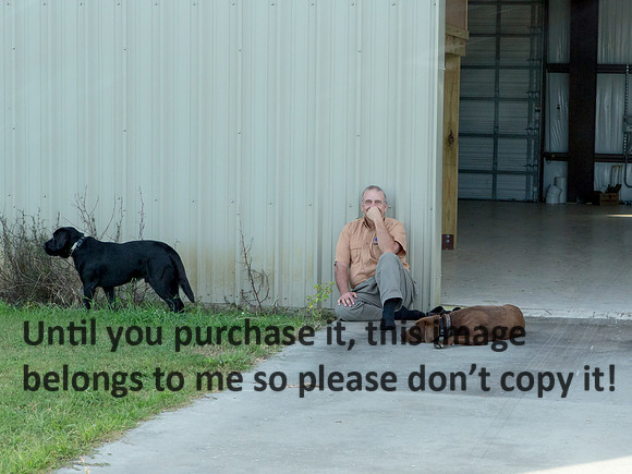 Mike&Dogs-0711
