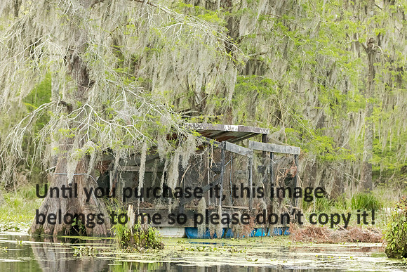 hunting-blind_lake-martin_03-28-19_kelly_morvant-photography-0428