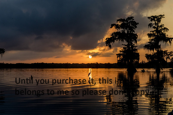 sunset_lake-martin_06-21-18_kelly-morvant-photography-8748 (1) (1)