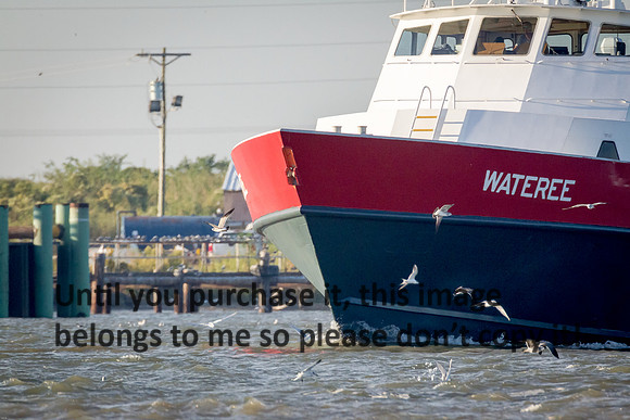 wateree_crew-boat_cameron_louisiana_kelly-morvant-photography_10-23-14-6662