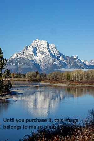 grand-tetons_10-22-25_kellysheadshots.com_lg-29211