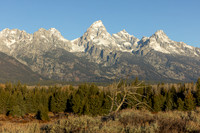 grand-tetons_10-24-25_kellysheadshots.com_lg-20056