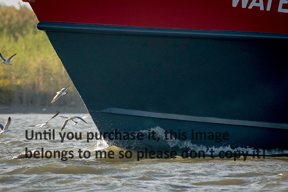wateree_crew-boat_cameron_louisiana_kelly-morvant-photography_10-23-14-6670