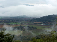NapaValleyFog_NapaCA-0629