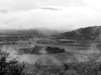 NapaValleyFogBW_NapaCA-0628