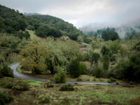 OakvilleGradeFog_NapaCA-0575