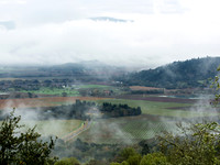 NapaValleyFog_NapaCA-0628