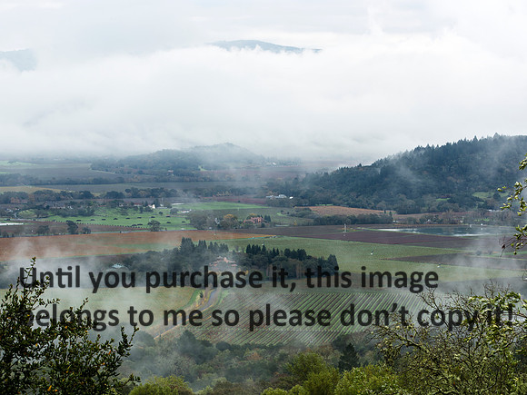NapaValleyFog_NapaCA-0628