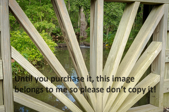 bridge_weir_palmetto-state-park_2015_kelly-morvant-photography-9932