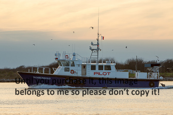 calcasieu-pass-pilot-boat_cameron-la_2015_kelly-morvant-photog-1033