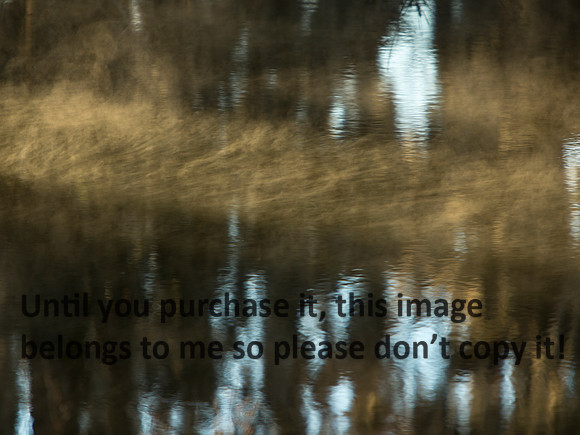 RipplesFog_LakeMartinLA-0037