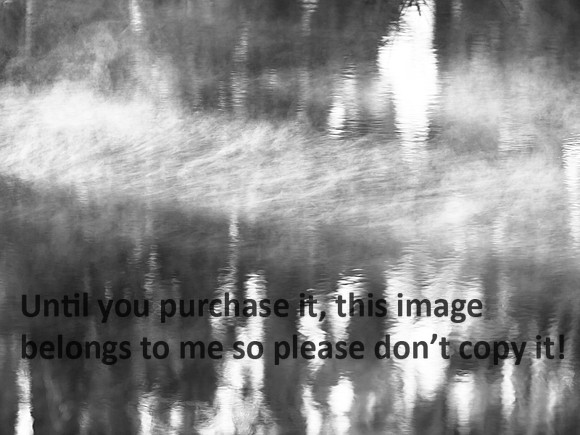 RipplesFogBW_LakeMartinLA-0037