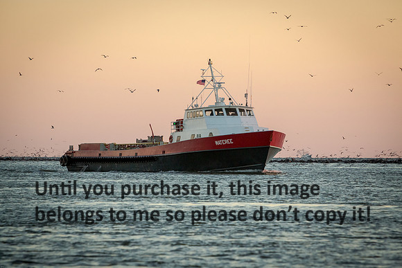 wateree-fast-supply-vessel_cameron-louisiana_kelly-morvant-photography_11-09-14-8823