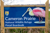 cameron-prairie-sign_cameron_kellysheadshots.com_03-04-26_lg-24276