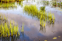pond_cameron_kellysheadshots.com_03-04-26_lg-24208