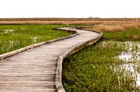 pond_walkway_cameron_kellysheadshots.com_03-04-26_lg-24223