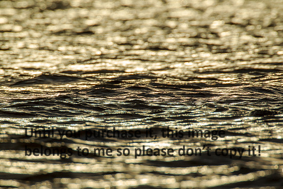 water-texture_cameron_louisiana_kelly-morvant-photography_10-23-14-6815