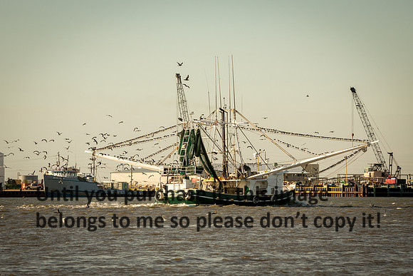 southern-lady_shrimp-boat_cameron_louisiana_kelly-morvant-photography_10-23-14-8413