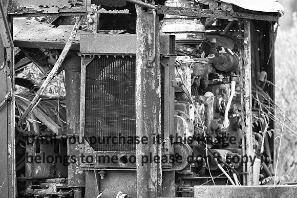 Engine- Delcambre B&W-8299
