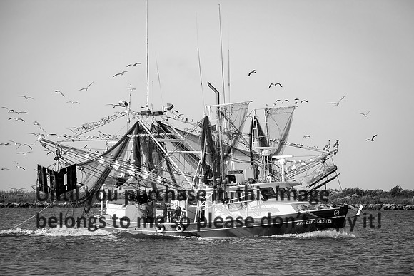 beach-master_shrimp-boat_cameron-louisiana_kelly-morvant-photography_10-19-14-8310 (1)