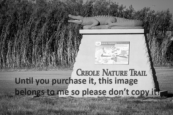 creole-nature-trail_sign_cameron-louisiana_kelly-morvant-photography_11-09-14-8686