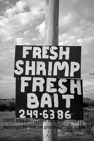 fresh-shrimp_sign_cameron_la_04-23-17_kelly-morvant-photography (1 of 1)