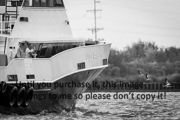 lady-brandi_bw_cameron_louisiana_kelly-morvant-photography_10-23-14-7094