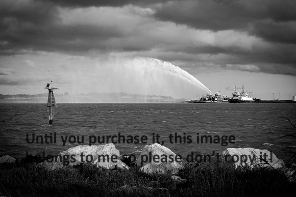 rainbow_cameron_la_04-23-17_kelly-morvant-photography-2938