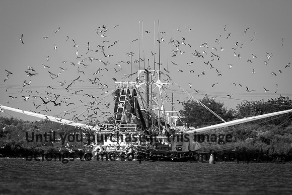 southern-lady_shrimp-boat_bw_cameron_louisiana_kelly-morvant-photography_10-23-14-6630