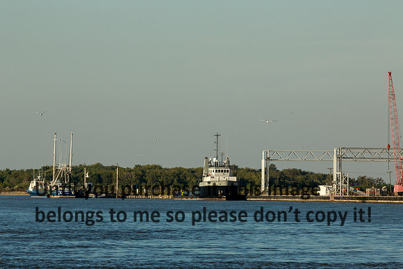cameron-louisiana_kelly-morvant-photography_11-09-14-8728