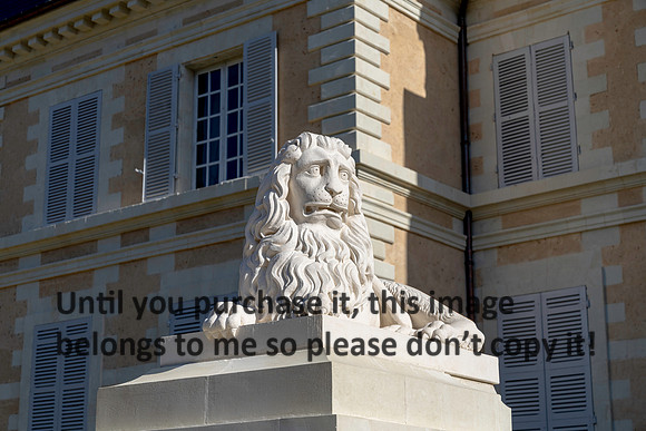 lion_chateau-de-purnon_france_2026_kellysheadshots.com-2