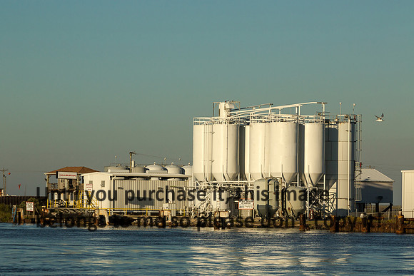 cameron-louisiana_kelly-morvant-photography_11-09-14-8734