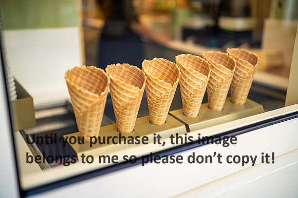 cones_france_2026_kellysheadshots.com_lg-01841
