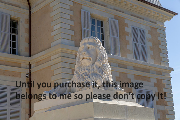 lion_chateau-de-purnon_france_2026_kellysheadshots.com-6