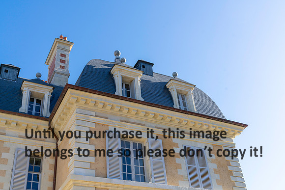 lion_chateau-de-purnon_france_2026_kellysheadshots.com-2-5