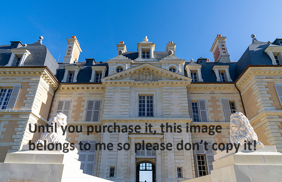 lion_chateau-de-purnon_france_2026_kellysheadshots.com-2-4
