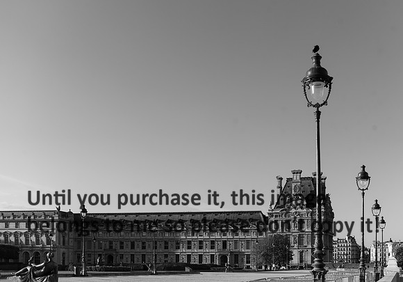 louve_morvant_paris_france_2026_kellysheadshots.com-bw-01151
