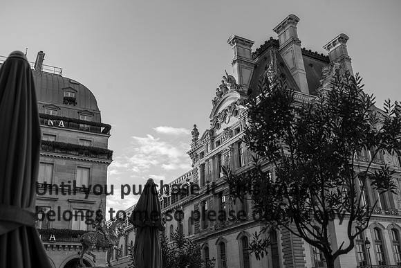 architecture_paris_morvant_france_2026_kellysheadshots.com_bw-01119