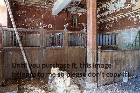 stable_chateau-de-purnon_france_2026_kellysheadshots.com_lg-01666