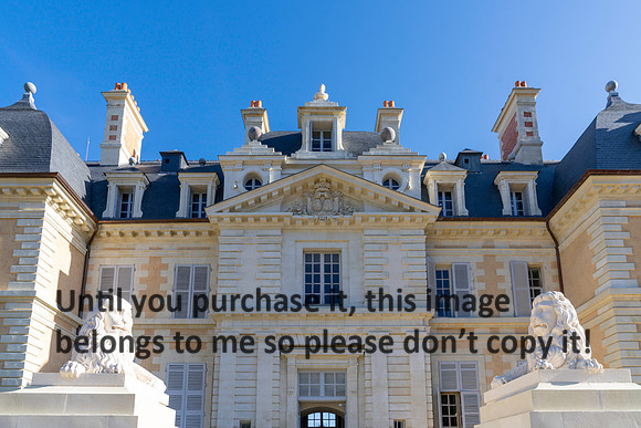 lion_chateau-de-purnon_france_2026_kellysheadshots.com-2-3