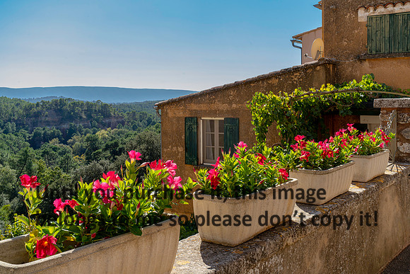 flowers_cliff_2026_france_kellysheadshots.com_lg-02261
