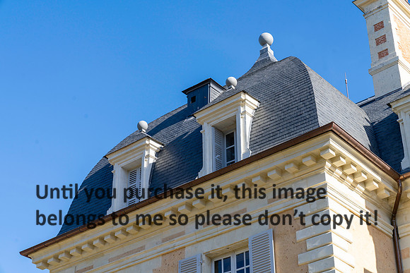 lion_chateau-de-purnon_france_2026_kellysheadshots.com-2-2
