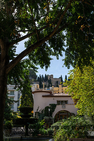cassis_france_garden_2026_kellysheadshots.com-02330