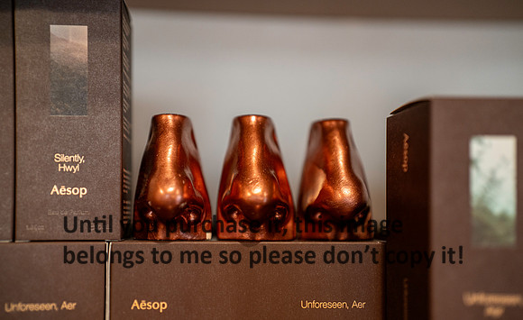 aesop_france_2026_kellysheadshots.com_lg-01827