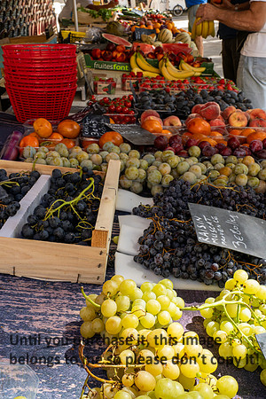 fruit_france_2026_kellysheadshots.com_lg-01927