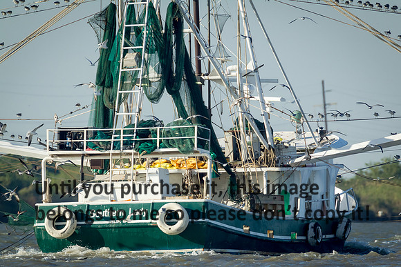 southern-lady_shrimp-boat_cameron_louisiana_kelly-morvant-photography_10-23-14-6625