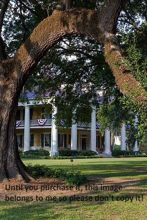HoumasHouse-0258